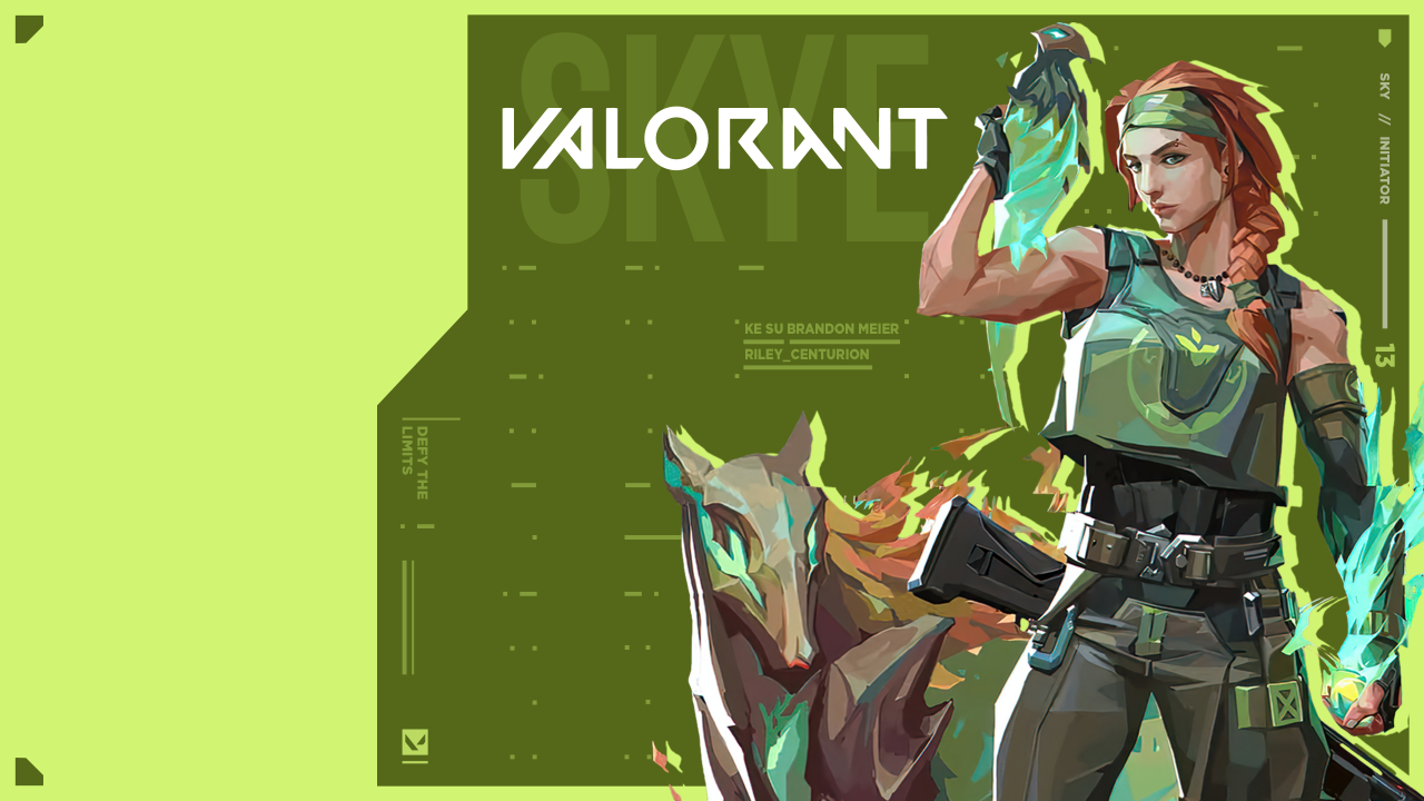 VALORANT 8.01